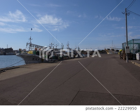 Hakodate Port Hakodate Port 22229950