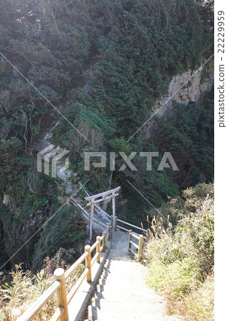 白山神社（土佐清水市） 22229959