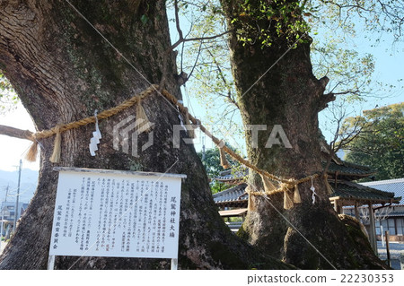 Owashi Shrine Osuni 22230353