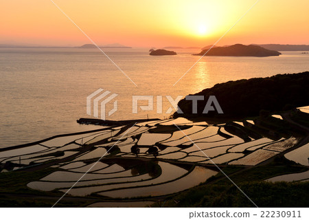 土屋的水稻梯田 22230911