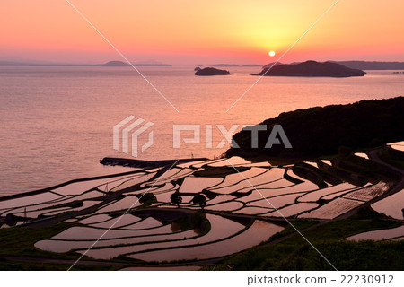 土屋的水稻梯田 22230912