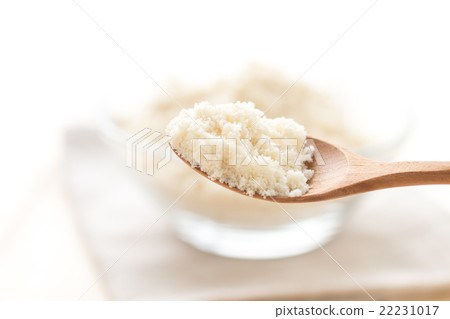 Almond Poodle 22231017