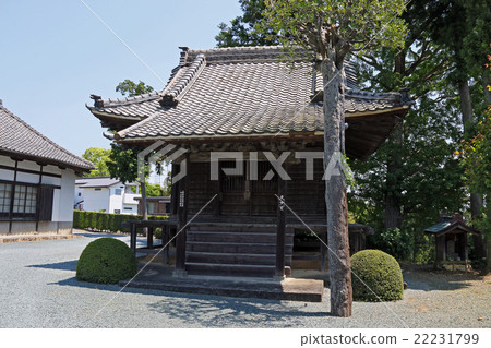 Minorushotera Minorushotera 22231799