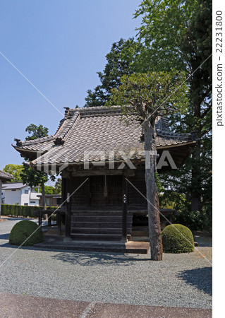 Minorushotera Minorushotera 22231800