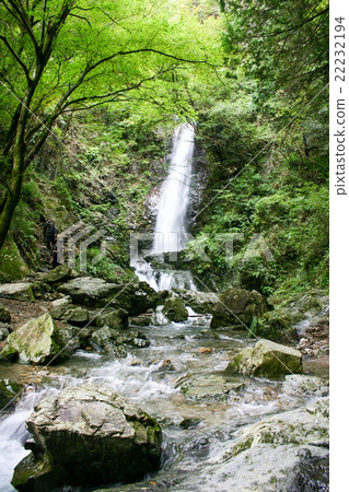 金澤瀑布 22232194