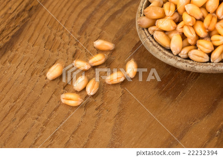 organic barley grain 22232394