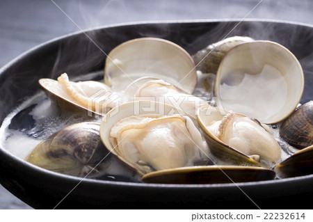 蜆菜 22232614