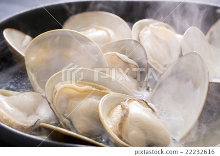 蜆菜 蜆菜 22232616