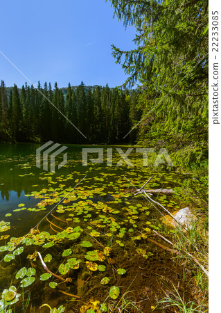 Snake Lake in Durmitor - Montenegro 22233085