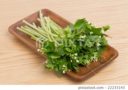 Flower wasabi 22233143