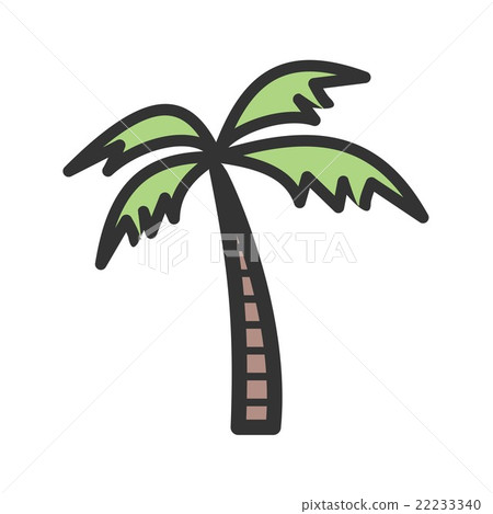 Coconut Tree Coconut Tree 22233340