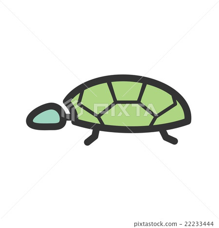 Turtle Turtle 22233444