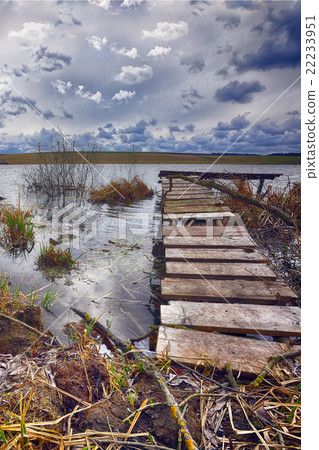Old wooden pier with dry reed 22233951