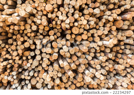 Stock of eucalyptus logs in a lumber yard 22234297