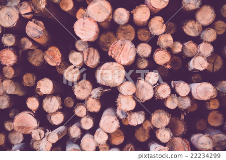 Pile of firewood, Vintage effect 22234299