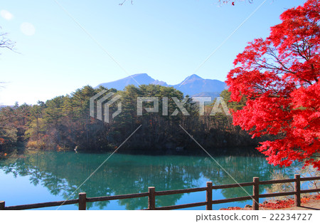 Five colors of autumn leaves 22234727
