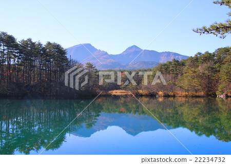 Five colors of autumn leaves Five colors of autumn leaves 22234732