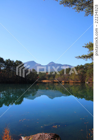 Five colors of autumn leaves 22234828