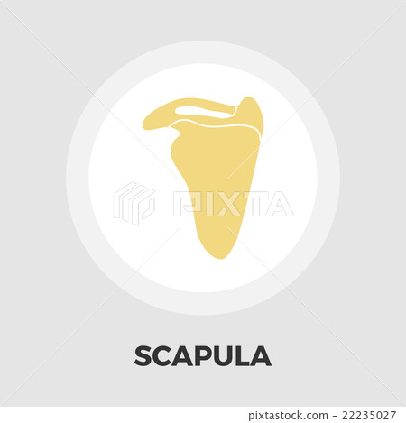 Scapula icon flat 22235027