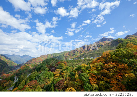 141026吾妻谷12 22235283