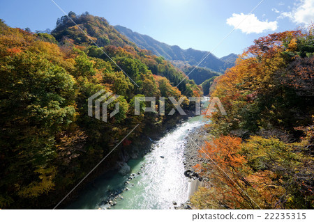 141028吾妻谷21 22235315