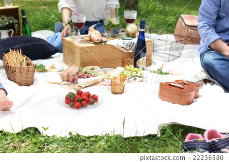 野餐 22236580