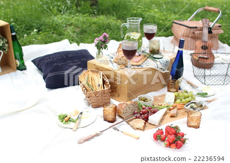 野餐 22236594