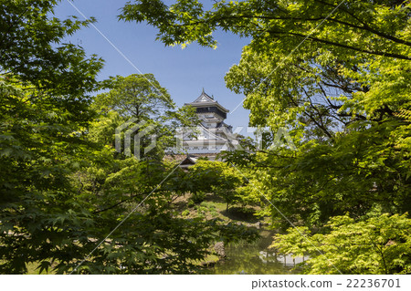 Ogura castle of fresh green Ogura castle of fresh green 22236701