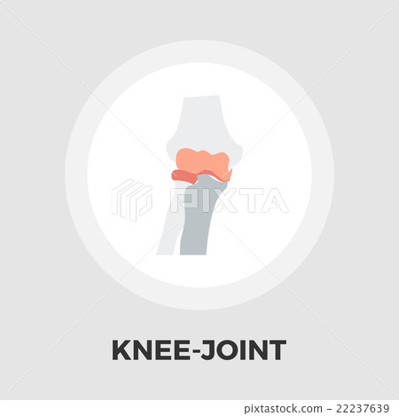 Knee-joint flat icon 22237639