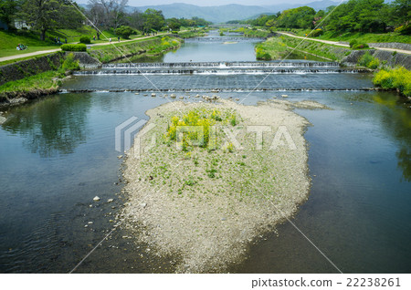 Kamogawa River in spring Kamogawa River in spring 22238261