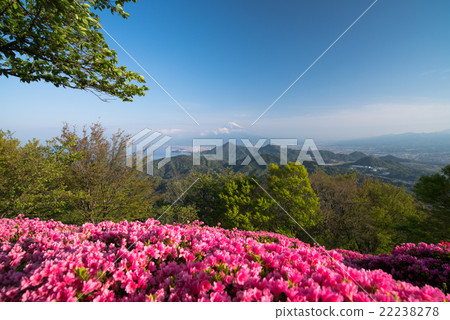 Mt. Fuji from Azalea Izu Katsuragiyama Mt. Fuji from Azalea Izu Katsuragiyama 22238278