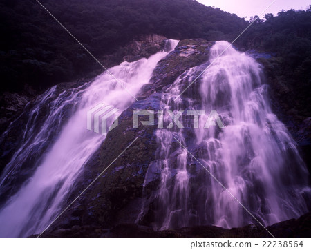 Waterfall of Yakushima Okawa Waterfall of Yakushima Okawa 22238564