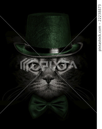 dark muzzle cat  in green hat and tie butterfly 22238873