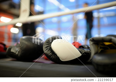 Pair of boxing black gloves 22239017