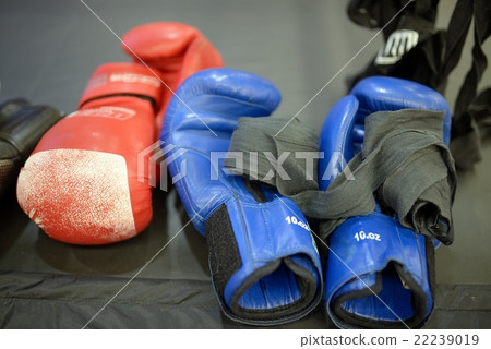 Pair of boxing red and blue gloves Pair of boxing red and blue gloves 22239019