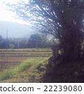 Dogen god 22239080