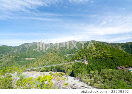 Suspension bridge in Tanase (landscape of Totsukawa village in Nara prefecture) 22239592