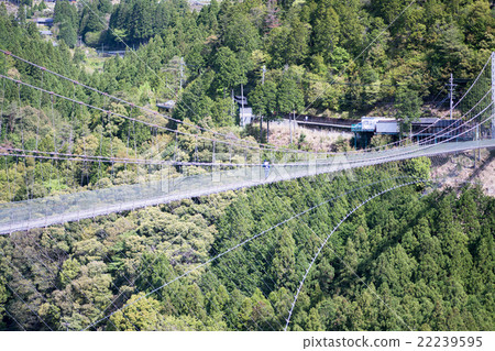 Tanase的懸索橋（奈良縣戶津川村的風景） 22239595