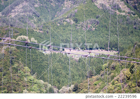 Tanase的懸索橋（奈良縣戶津川村的風景） 22239596