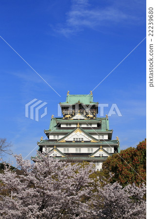 Osaka Castle and cherry blossoms in full bloom Osaka Castle and cherry blossoms in full bloom 22239680