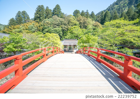 Shiroshi花的博物館/ Midori Muro寺(奈良縣宇都市) Shiroshi花的博物館/ Midori Muro寺(奈良縣宇都市) 22239752