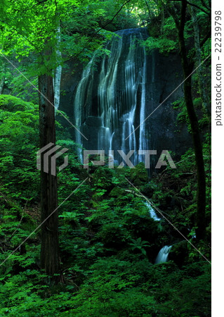 Tatsuzawa immobile waterfall girlfall 22239798