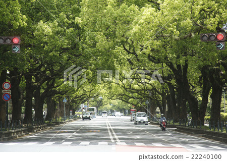 Kusunoki of Miyazaki Prefectural Government agency Kazuki Namiki Kusunoki of Miyazaki Prefectural Government agency Kazuki Namiki 22240100