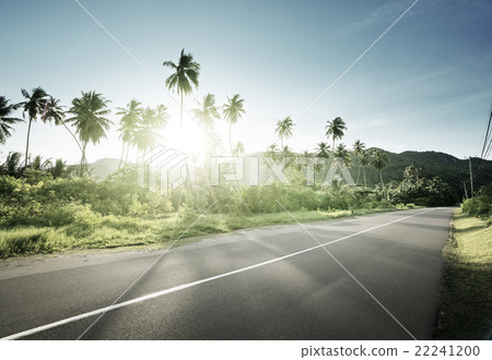 empty road in jungle of Seychelles islands empty road in jungle of Seychelles islands 22241200