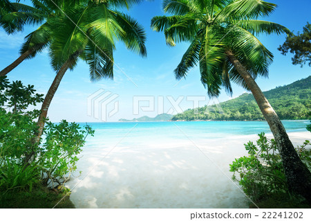 beach Takamaka, Mahe island, Seychelles beach Takamaka, Mahe island, Seychelles 22241202