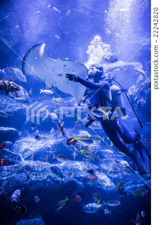 Sumida aquarium Tokyo large aquarium 22242820