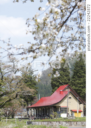 日中紀念館和櫻花 日中紀念館和櫻花 22242872