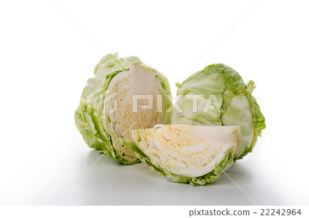 cabbage on white background 22242964