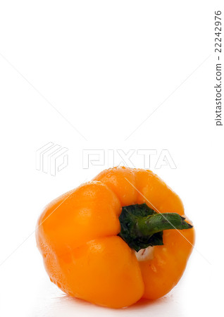 peppers over white background peppers over white background 22242976