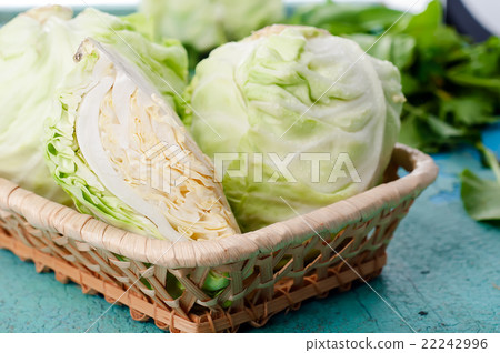 Head of cabbage Head of cabbage 22242996